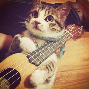 国产精品自产拍在线观看色情
