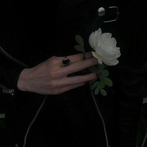 国产精品自产拍在线观看色情
